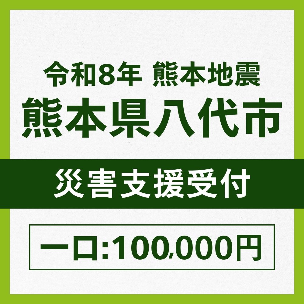 熊本県八代市一口100,000円
