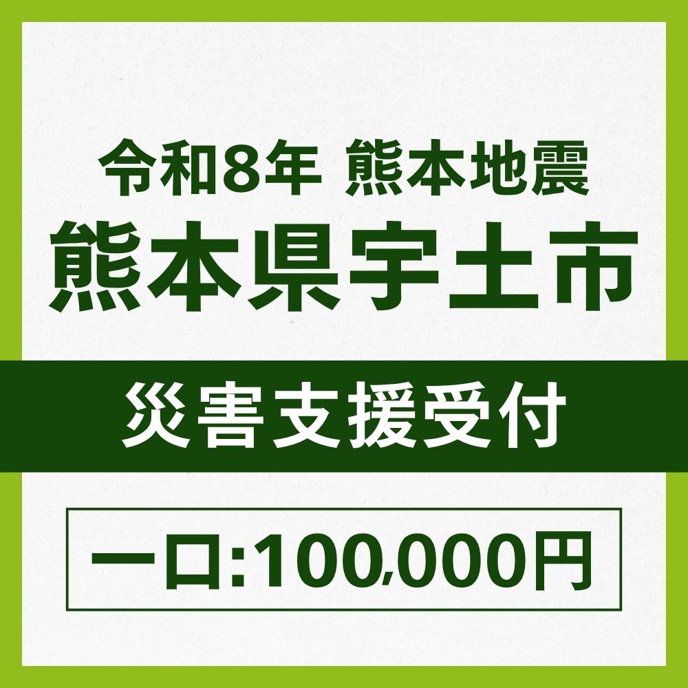 熊本県宇土市一口100,000円