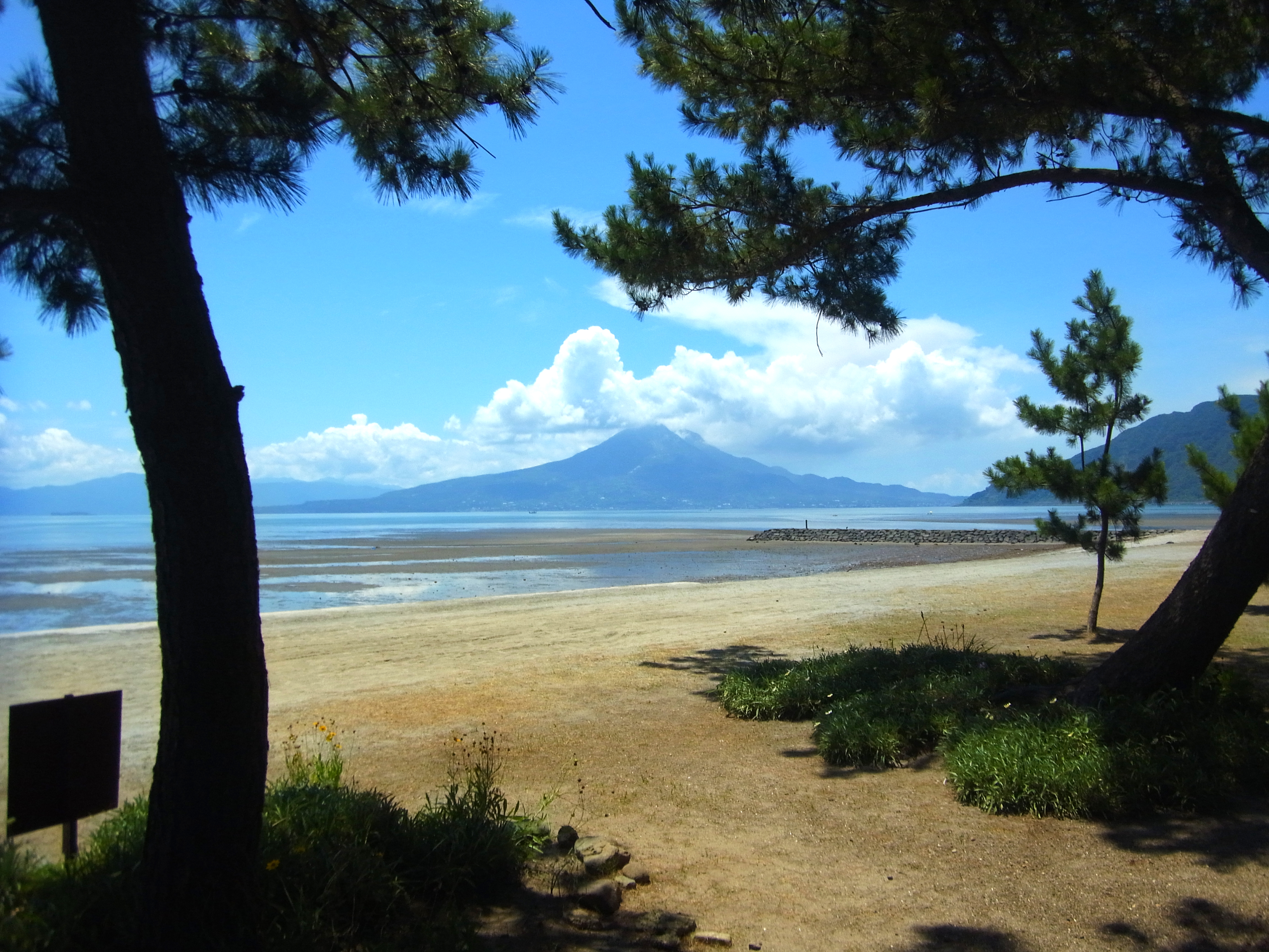 重富干潟（しげとみひがた）