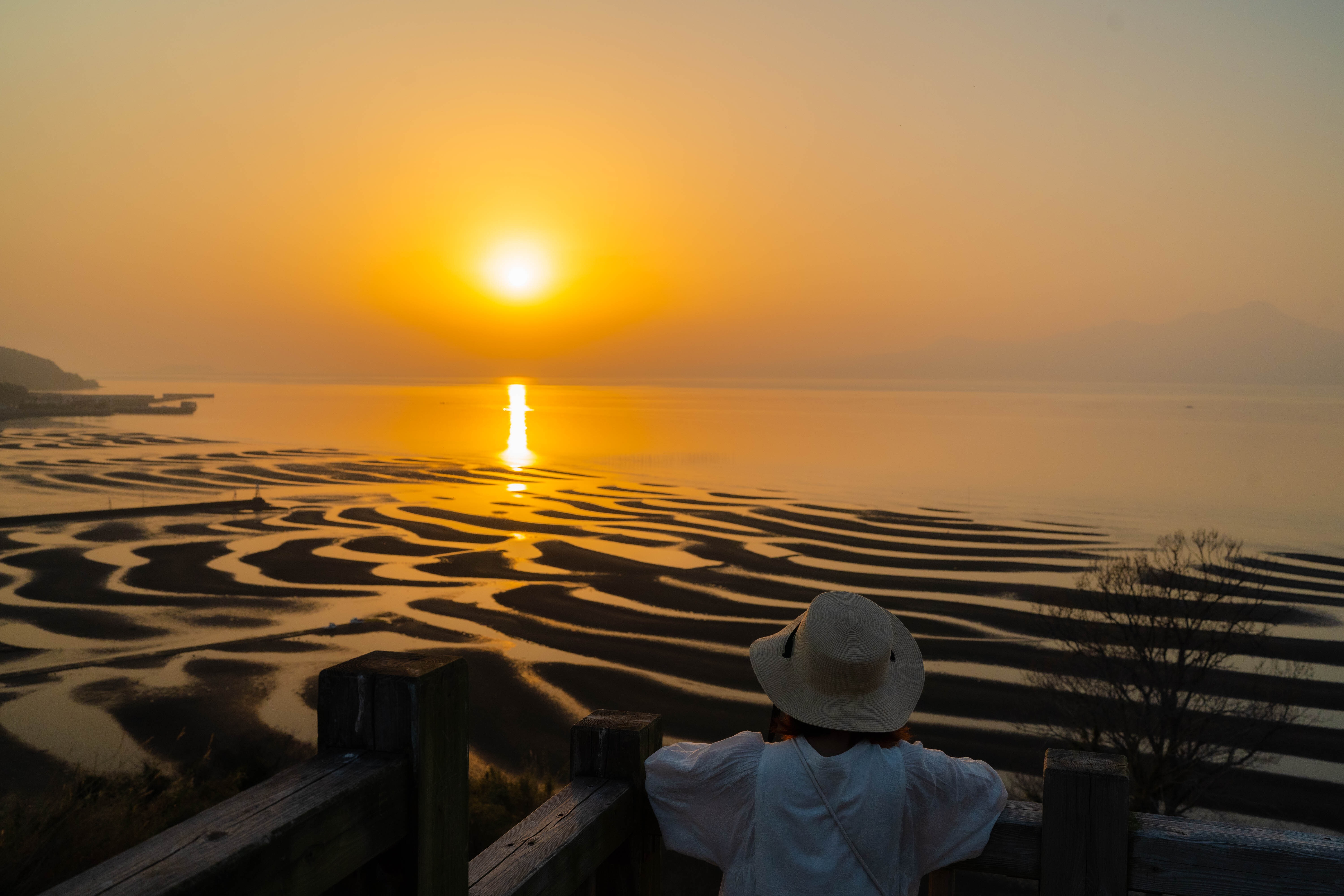 【御輿来海岸（おこしきかいがん）】