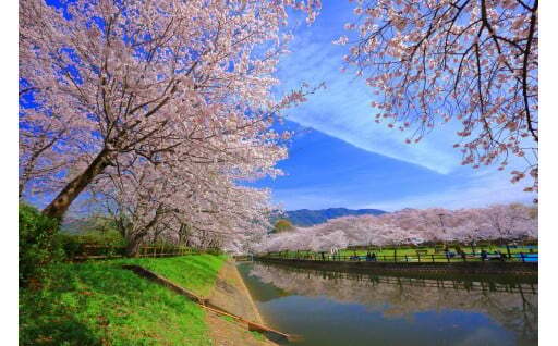 【立岡自然公園（たちおかしぜんこうえん）】
