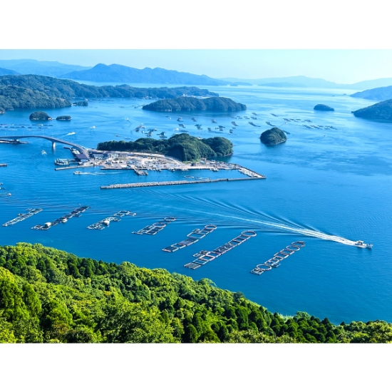 長島町