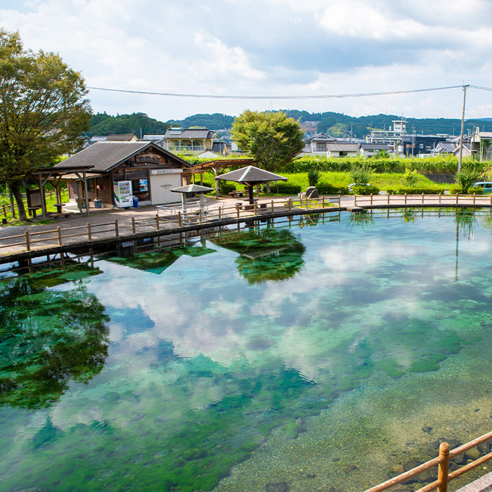 丸池湧水