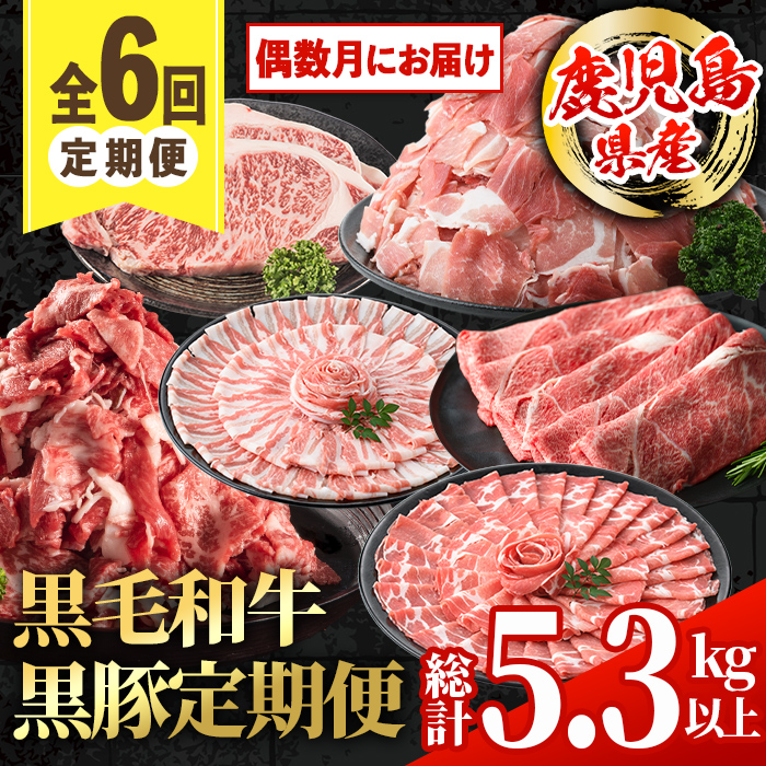 ふるさと一番